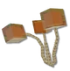 Amber Spine